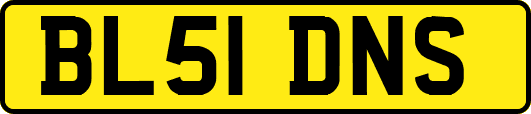 BL51DNS