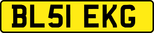 BL51EKG