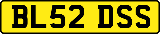 BL52DSS