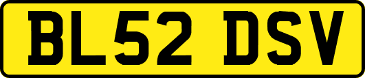 BL52DSV