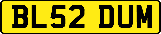 BL52DUM