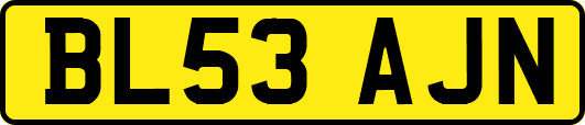 BL53AJN