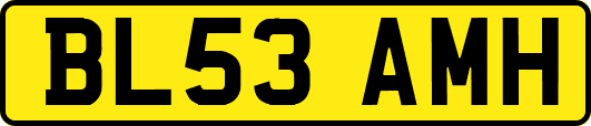 BL53AMH