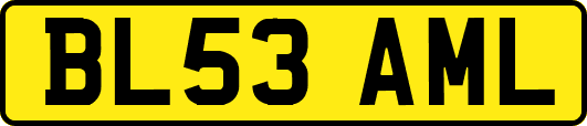 BL53AML
