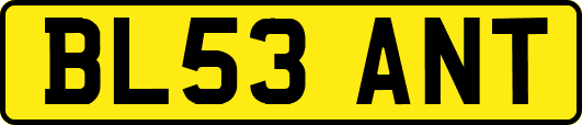 BL53ANT