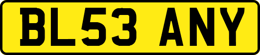BL53ANY