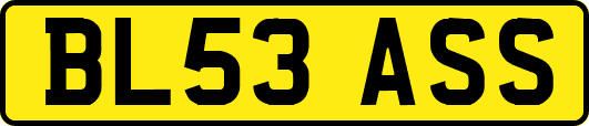 BL53ASS