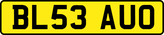BL53AUO