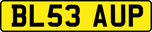 BL53AUP