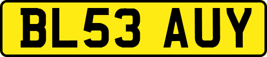 BL53AUY