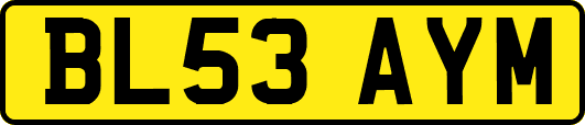 BL53AYM