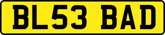 BL53BAD