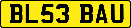 BL53BAU