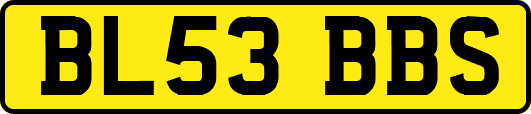 BL53BBS