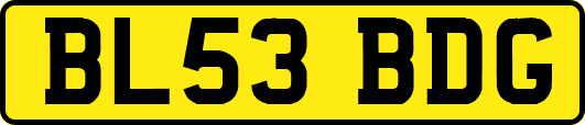 BL53BDG