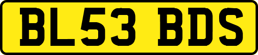 BL53BDS