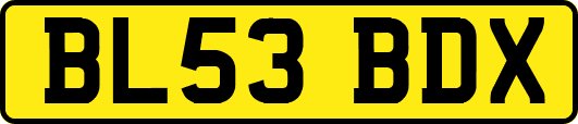 BL53BDX