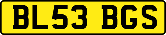 BL53BGS