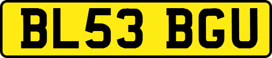 BL53BGU