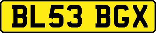 BL53BGX