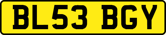 BL53BGY