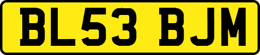 BL53BJM