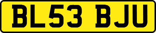 BL53BJU