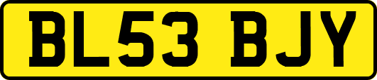 BL53BJY