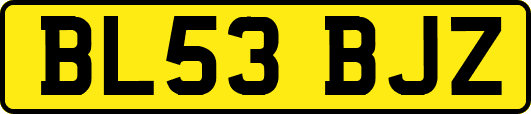 BL53BJZ