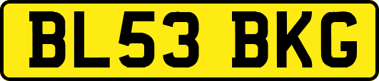 BL53BKG