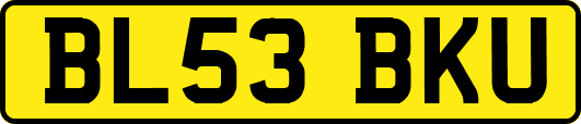 BL53BKU