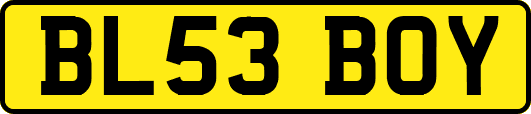 BL53BOY