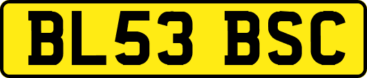 BL53BSC