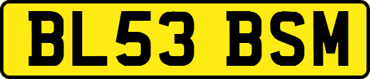 BL53BSM