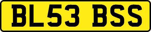 BL53BSS
