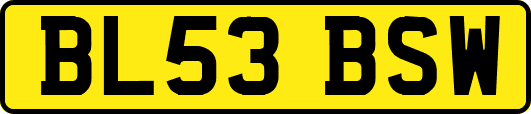 BL53BSW