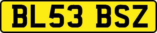BL53BSZ