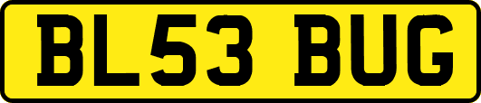 BL53BUG