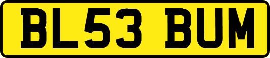 BL53BUM