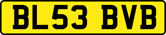 BL53BVB