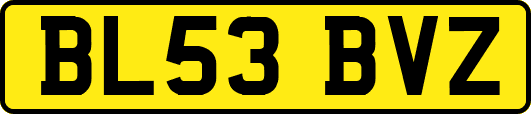 BL53BVZ