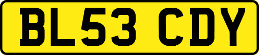 BL53CDY