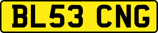 BL53CNG