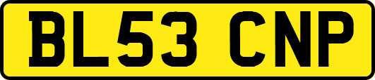 BL53CNP