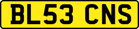 BL53CNS