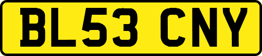 BL53CNY