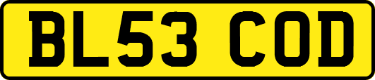 BL53COD