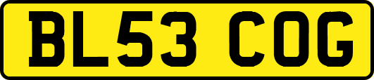 BL53COG