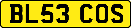 BL53COS