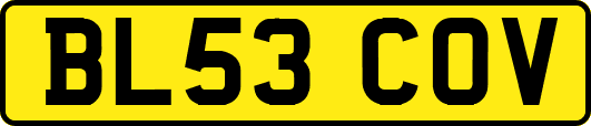 BL53COV